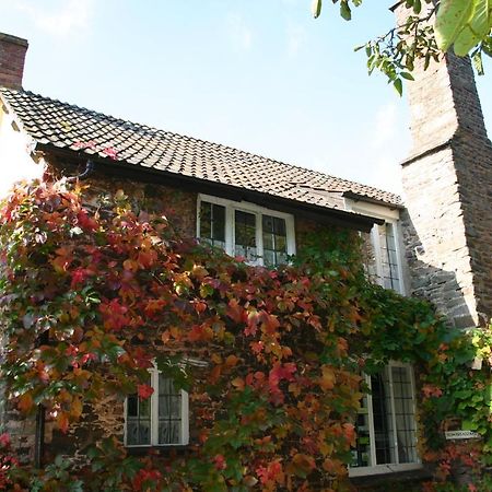 Bossington Tudor Cottage מראה חיצוני תמונה
