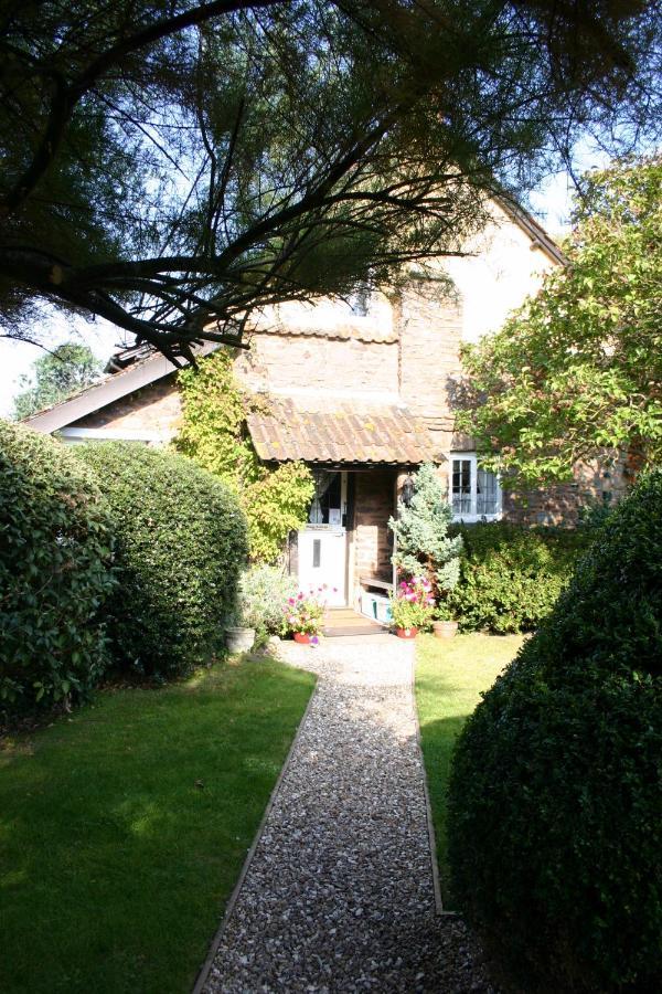 Bossington Tudor Cottage מראה חיצוני תמונה